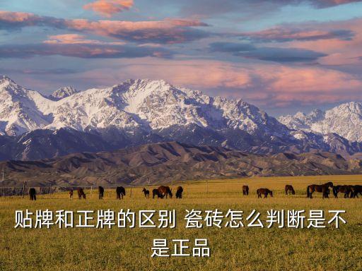 贴牌和正牌的区别 瓷砖怎么判断是不是正品