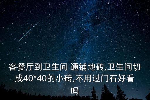 客餐厅到卫生间 通铺地砖,卫生间切成40*40的小砖,不用过门石好看吗
