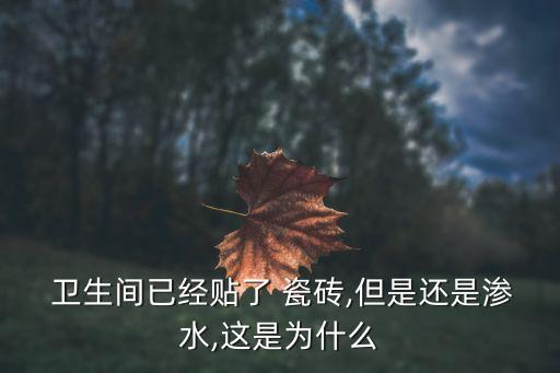  卫生间已经贴了 瓷砖,但是还是渗水,这是为什么