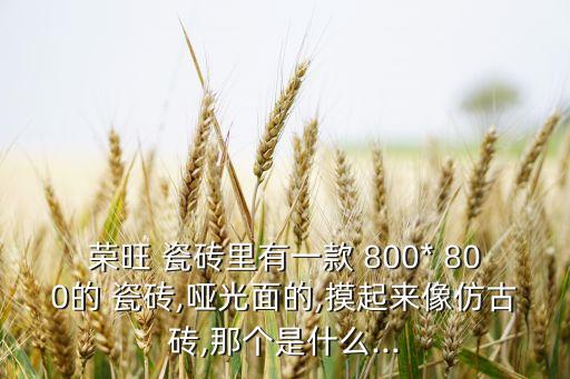瓷砖800 800亮光效果图,800*800柔光和亮光瓷砖哪个好?