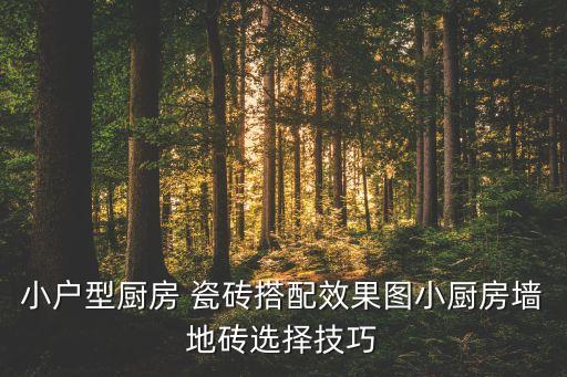 瓷砖装修柜子效果图大全,装修瓷砖通铺效果图