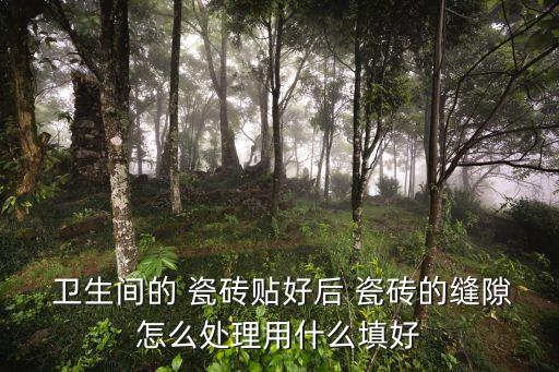  卫生间的 瓷砖贴好后 瓷砖的缝隙怎么处理用什么填好