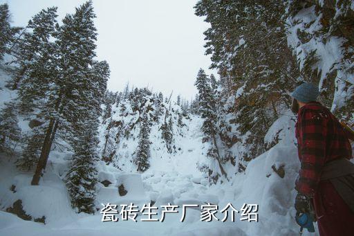  瓷砖生产厂家介绍