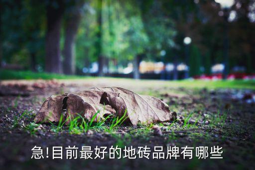 急!目前最好的地砖品牌有哪些