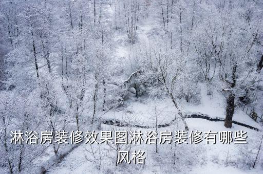 淋浴房装修效果图淋浴房装修有哪些 风格