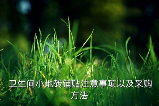  卫生间小地砖铺贴注意事项以及采购方法