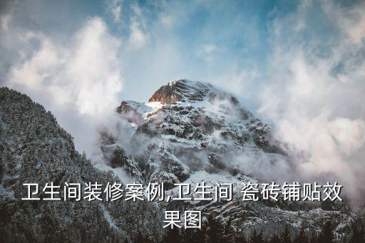 卫生间装修案例,卫生间 瓷砖铺贴效果图