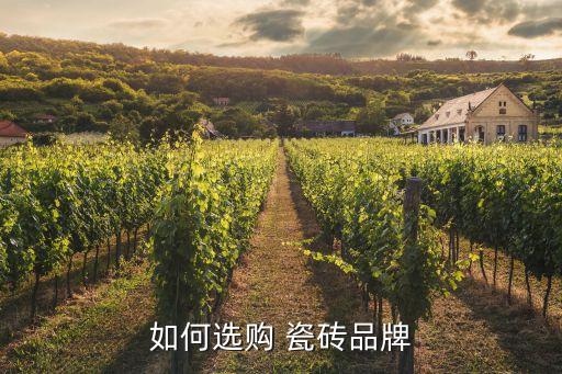如何选购 瓷砖品牌