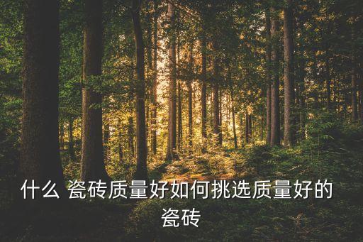 什么 瓷砖质量好如何挑选质量好的 瓷砖