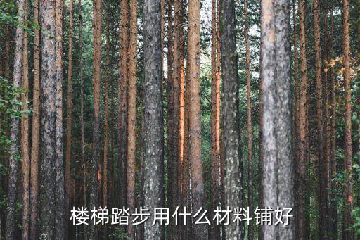  楼梯踏步用什么材料铺好