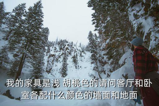 我的家具是浅 胡桃色的请问客厅和卧室各配什么颜色的墙面和地面