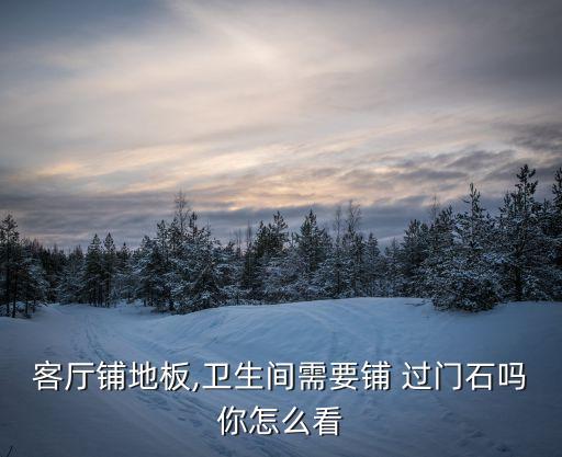 客厅铺地板,卫生间需要铺 过门石吗你怎么看