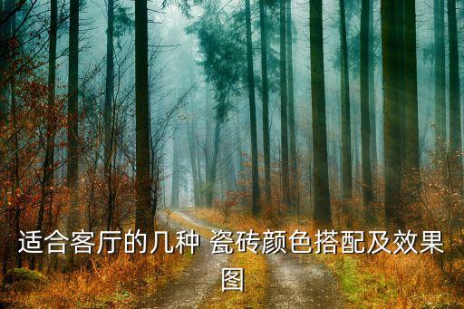 适合客厅的几种 瓷砖颜色搭配及效果图
