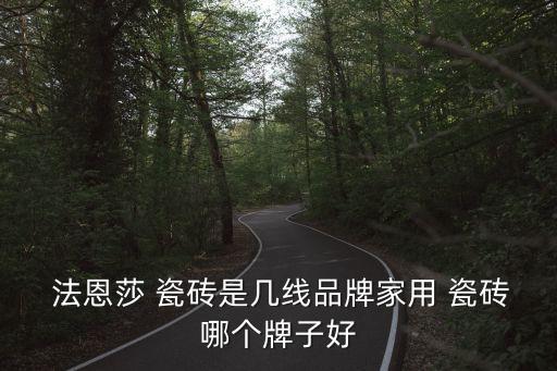  法恩莎 瓷砖是几线品牌家用 瓷砖哪个牌子好