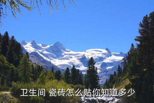 铺卫生间瓷砖全程视频,卫生间铺800*800的瓷砖怎么样
