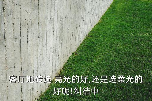 素色亮光瓷砖效果图,素色的瓷砖有没有亮光的