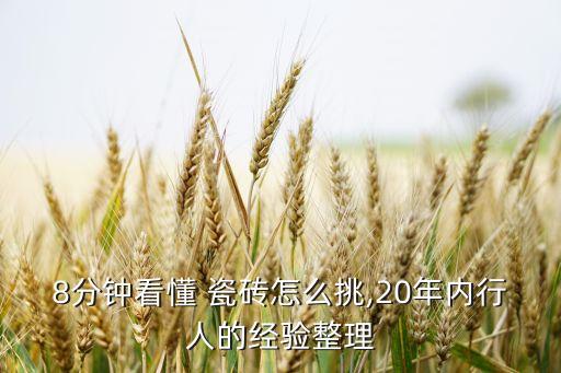 8分钟看懂 瓷砖怎么挑,20年内行人的经验整理