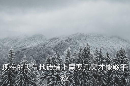 现在的天气地砖铺上需要几天才能够干透