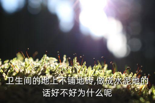 卫生间的地上不铺地砖,做成水泥地的话好不好为什么呢