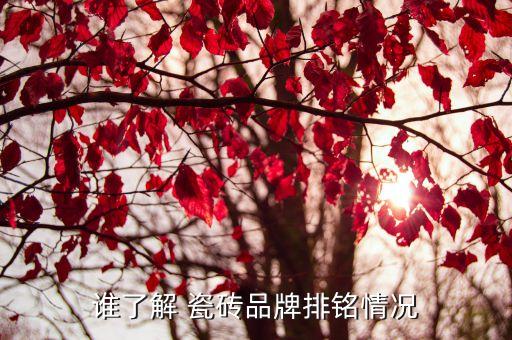 谁了解 瓷砖品牌排铭情况