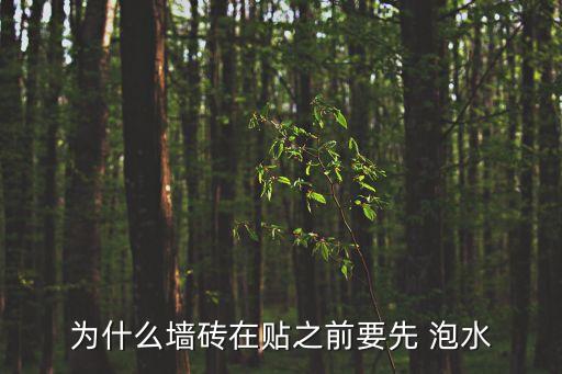 为什么墙砖在贴之前要先 泡水