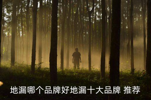 地漏哪个品牌好地漏十大品牌 推荐