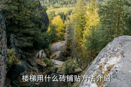 楼梯踏步老式瓷砖效果图