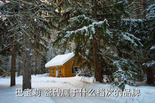 巴宝莉 瓷砖属于什么档次的品牌