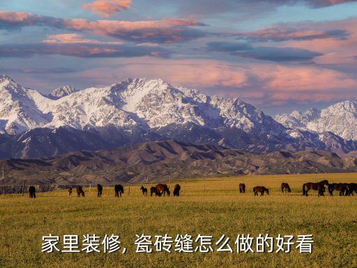 家里装修, 瓷砖缝怎么做的好看