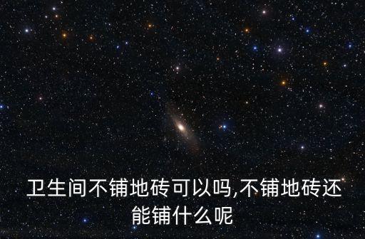  卫生间不铺地砖可以吗,不铺地砖还能铺什么呢
