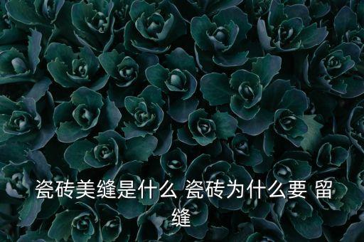  瓷砖美缝是什么 瓷砖为什么要 留缝