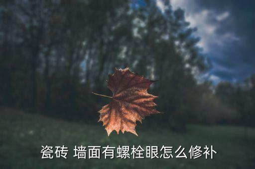  瓷砖 墙面有螺栓眼怎么修补