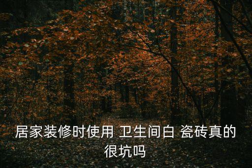居家装修时使用 卫生间白 瓷砖真的很坑吗
