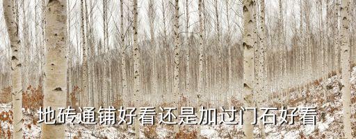 地砖通铺好看还是加过门石好看