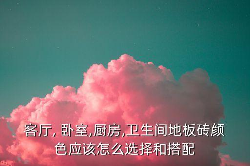 客厅, 卧室,厨房,卫生间地板砖颜色应该怎么选择和搭配