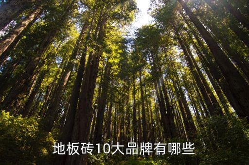 地板砖10大品牌有哪些
