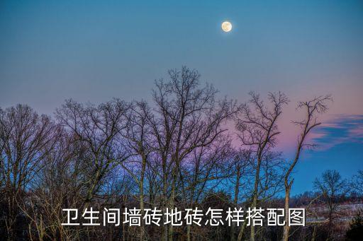 卫生间门 瓷砖图片大全