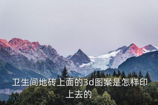  卫生间地砖上面的3d图案是怎样印上去的