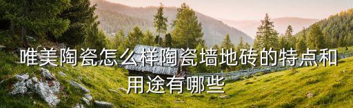  唯美陶瓷怎么样陶瓷墙地砖的特点和用途有哪些