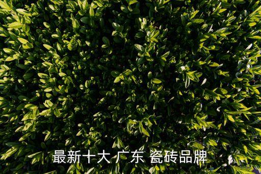 广东小品牌瓷砖有哪些品牌,广东瓷砖质量比较好的小品牌