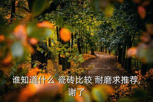 谁知道什么 瓷砖比较 耐磨求推荐,谢了