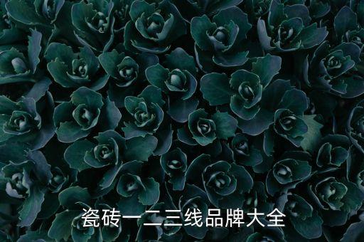 冠星瓷砖效果图,900x1800瓷砖效果图