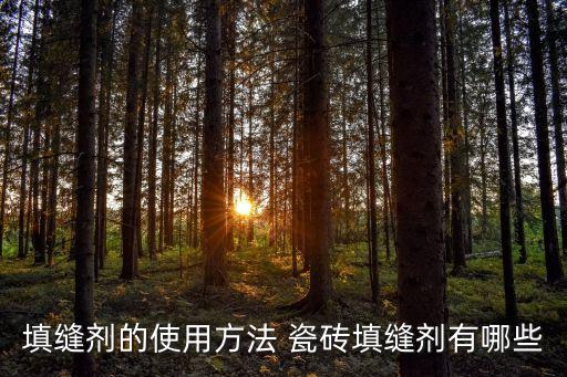 白色瓷砖勾缝剂效果图,米白色瓷砖效果图