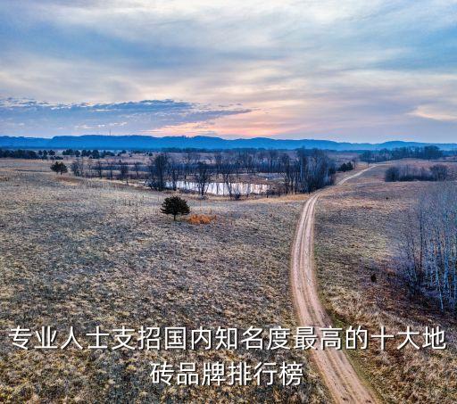 专业人士支招国内知名度最高的十大地砖品牌排行榜