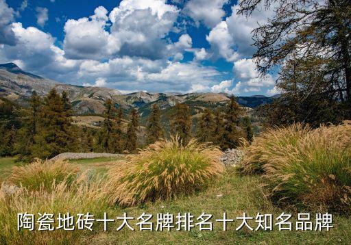 奢华厨房装修瓷砖品牌,厨房装修不用瓷砖,还可以用什么