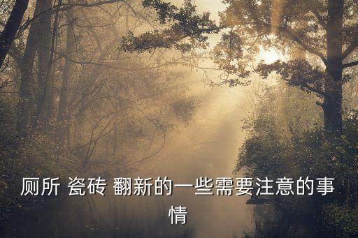 厕所 瓷砖 翻新的一些需要注意的事情