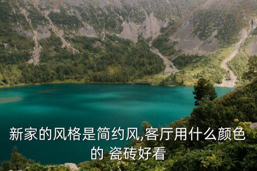 新家的风格是简约风,客厅用什么颜色的 瓷砖好看