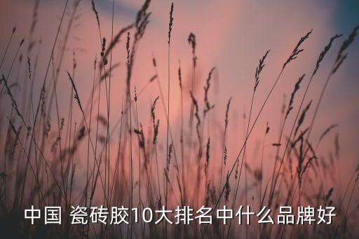 瓷砖大板胶品牌推荐,c200瓷砖胶能贴多大板