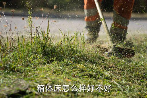  箱体床怎么样好不好