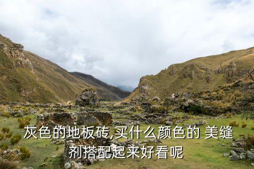  灰色的地板砖,买什么颜色的 美缝剂搭配起来好看呢